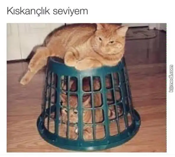 kiskanclik-seviyem-temsili-falan-degil_o_20717.webp