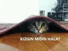 kızgınmısın hala.webp