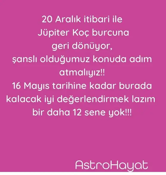 kjüpi koç10.webp