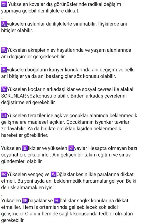 kk (2).webp