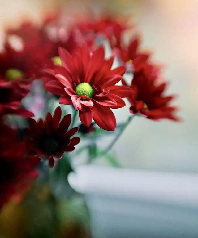 kk (3).webp