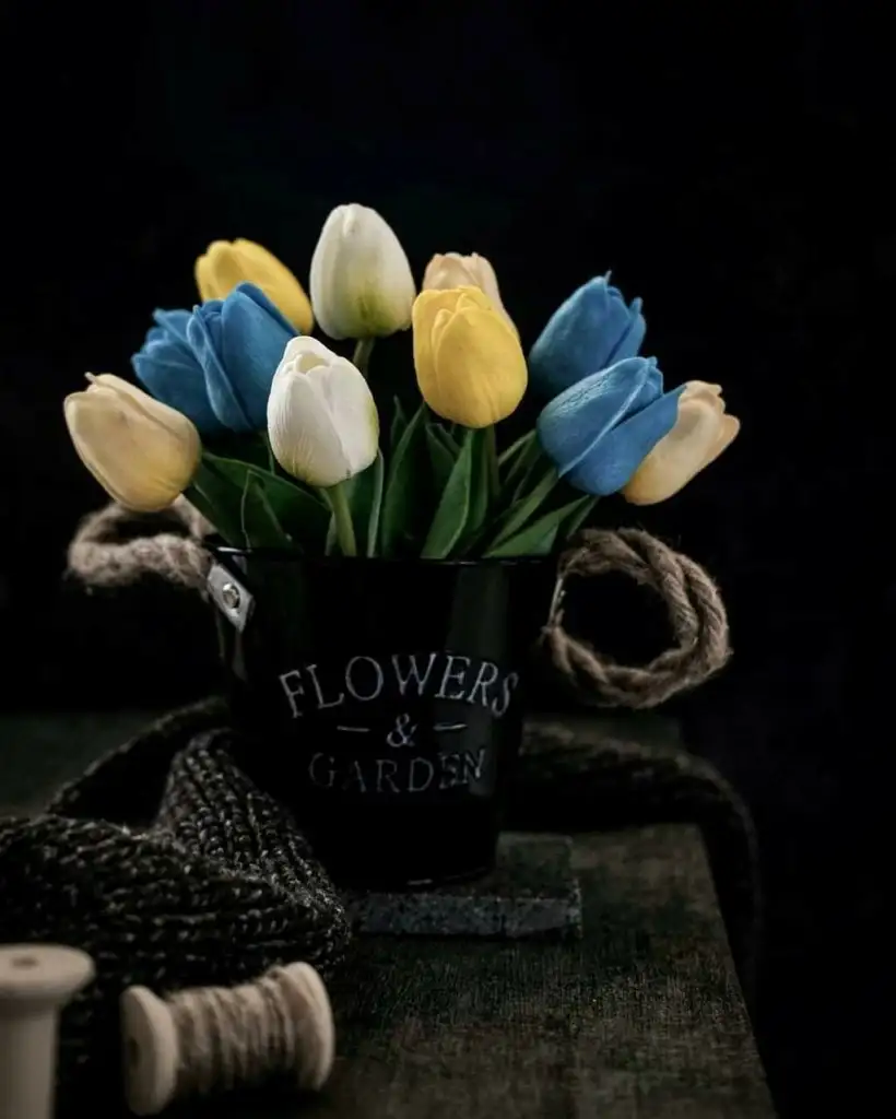 kk flw (4).webp