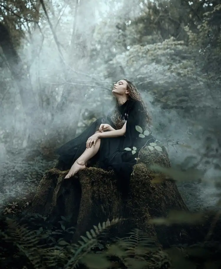 kk kdn (6).webp