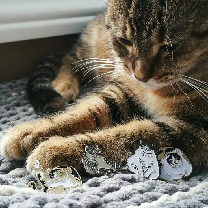 kk kedi (1).webp