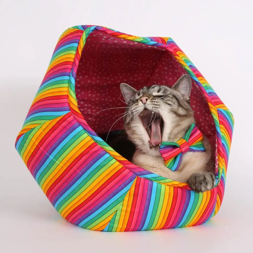 kk kedi (16).webp