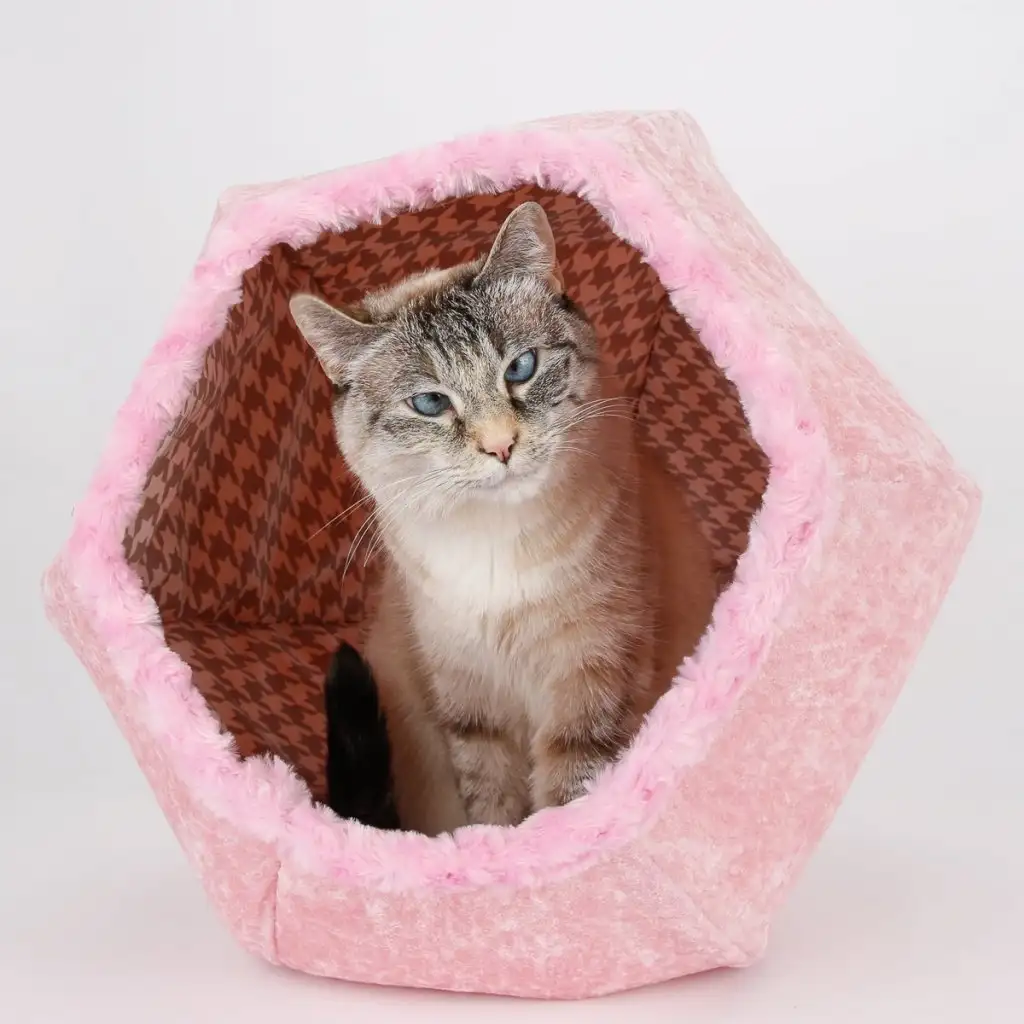 kk kedi (17).webp