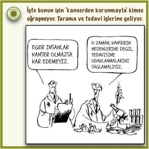 kk.webp