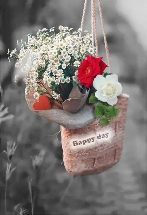 kk8 (11).webp