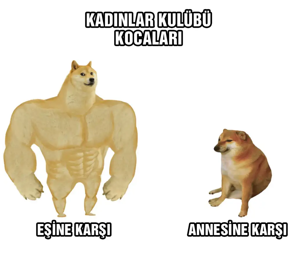 kkkoca.webp
