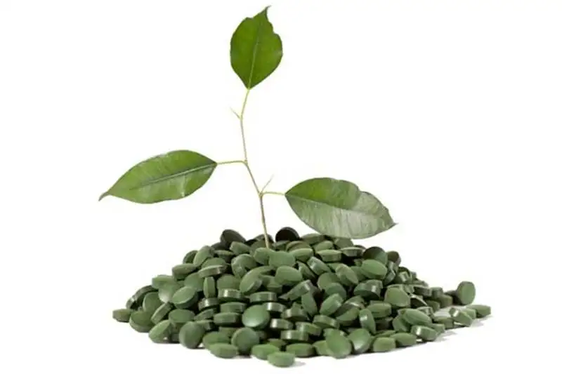 klorella-3986.webp
