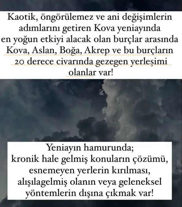 ko14 (2).webp