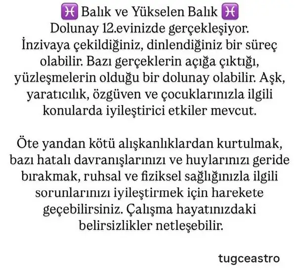 ko2 (13).webp