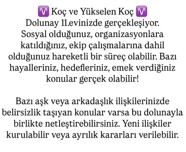 ko2 (2).webp