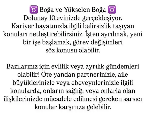 ko2 (3).webp