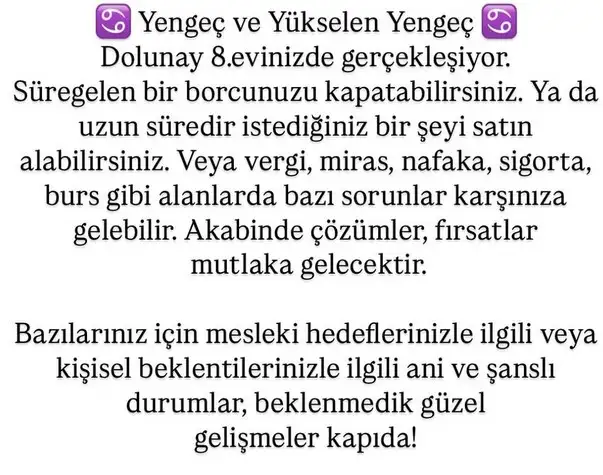 ko2 (5).webp