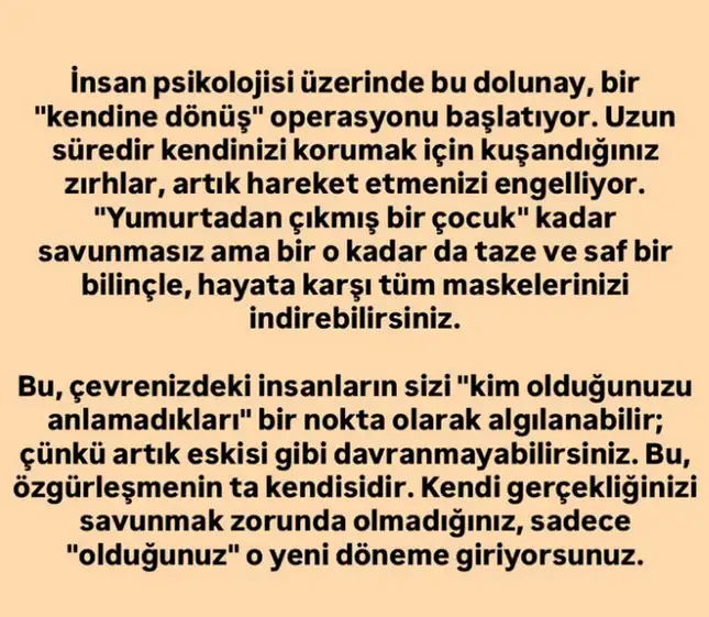 ko2 (5).webp