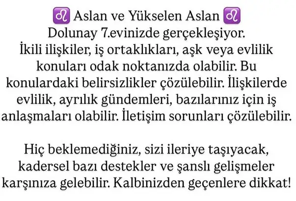 ko2 (6).webp