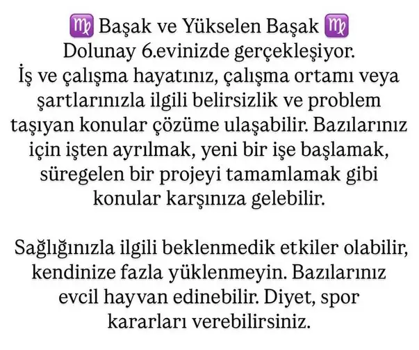 ko2 (7).webp