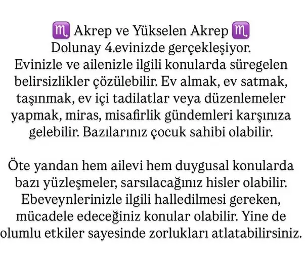 ko2 (9).webp