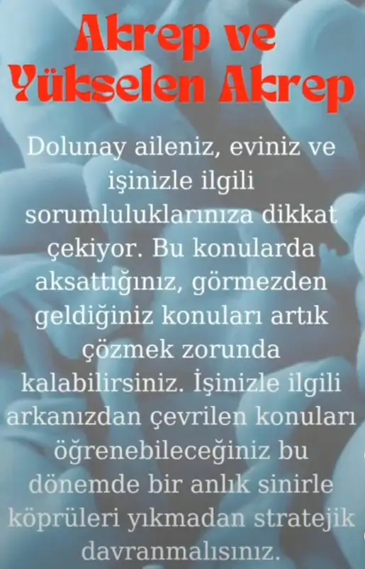ko4 (10).webp