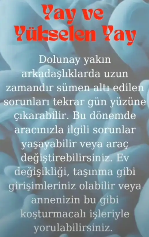 ko4 (11).webp
