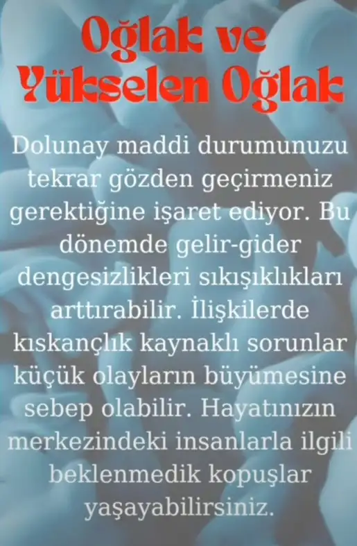 ko4 (12).webp