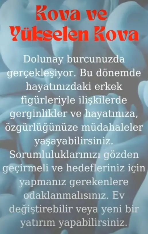 ko4 (13).webp