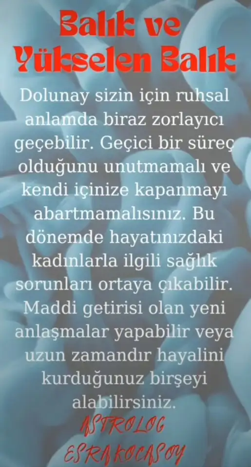ko4 (14).webp