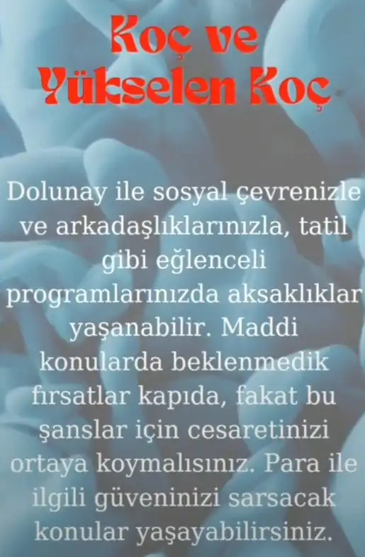 ko4 (2).webp