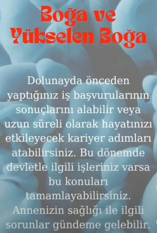 ko4 (3).webp