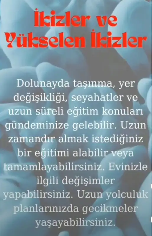 ko4 (4).webp