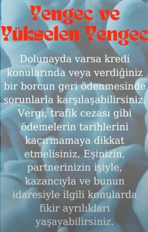 ko4 (5).webp