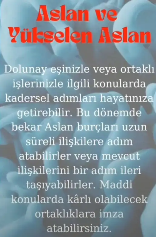 ko4 (7).webp