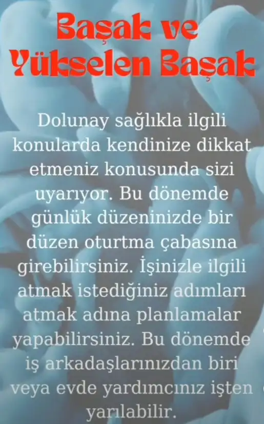 ko4 (8).webp