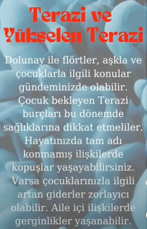 ko4 (9).webp