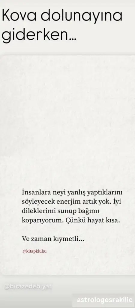 ko9 (1).webp