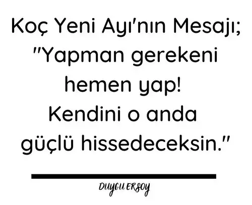 koç (1).webp
