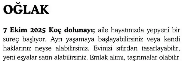 koç (10).webp
