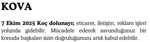 koç (12).webp