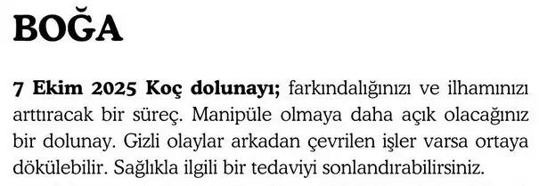 koç (2).webp