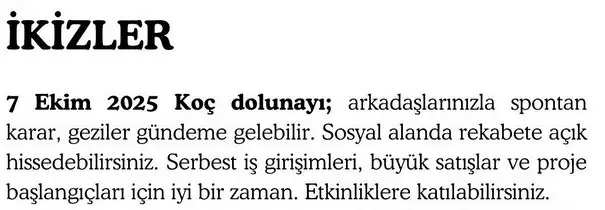 koç (3).webp