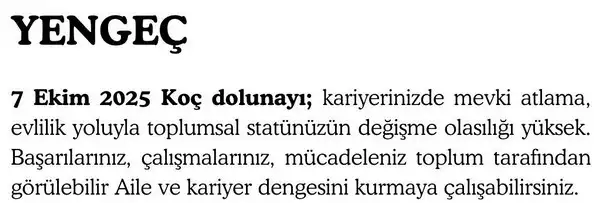 koç (4).webp