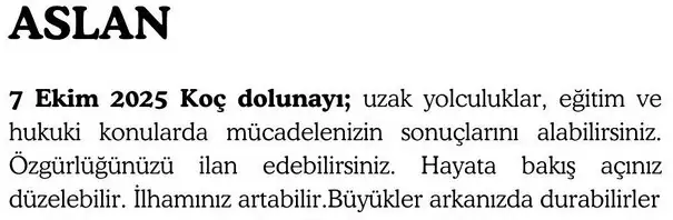 koç (5).webp