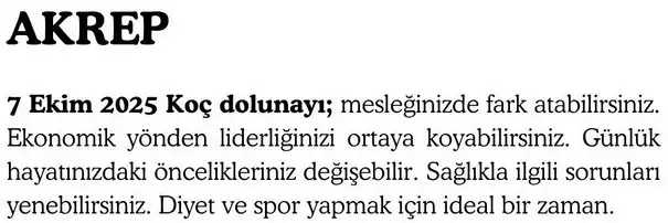 koç (8).webp