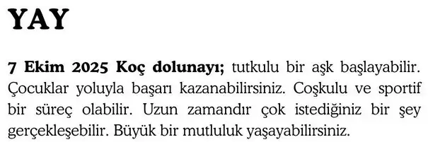 koç (9).webp
