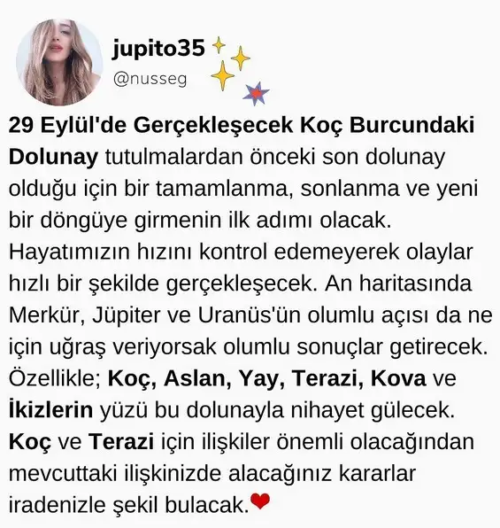 koç dd.webp