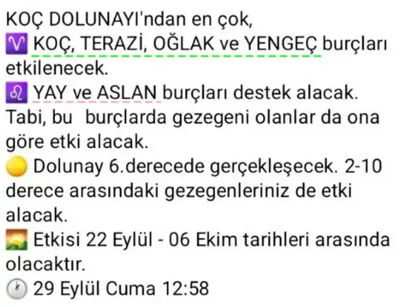 koç dol (2).webp