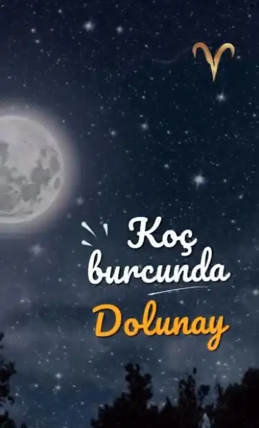 koç dolun (2).webp