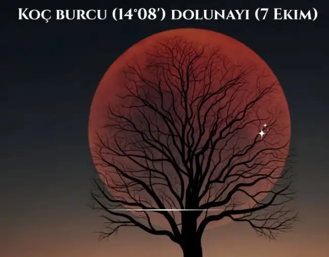 koç dolun (3).webp