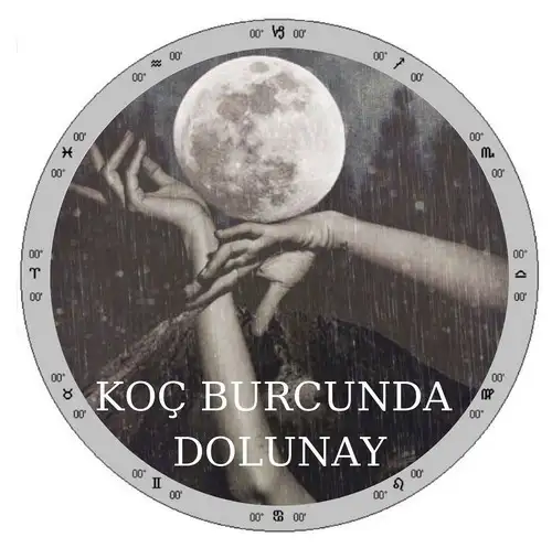 koç dolunay.webp